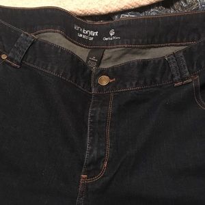 Lane Bryant jeans 28 average